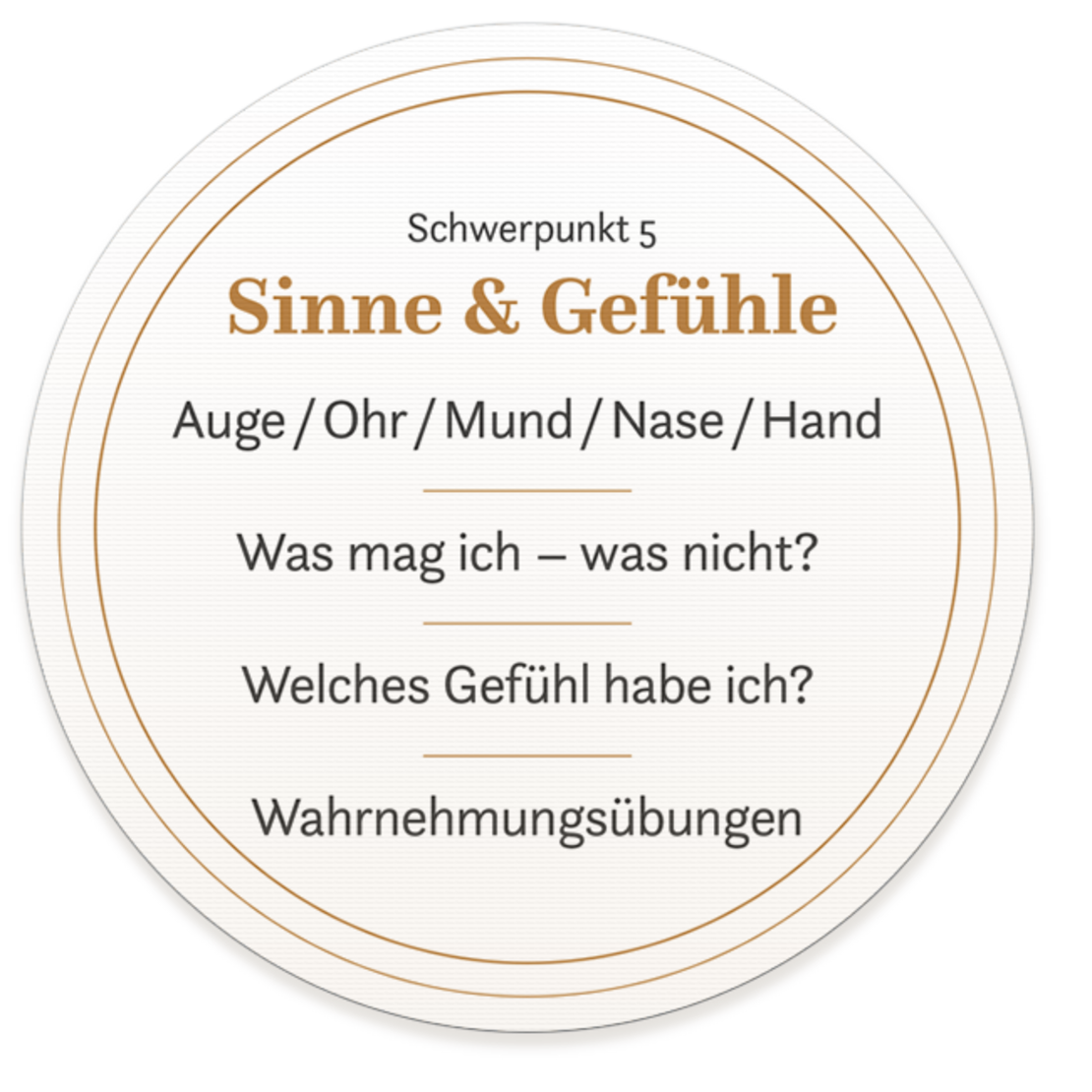 5-Schwerpunkt